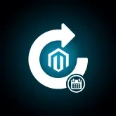 Magento Annual Version Upgrade Service