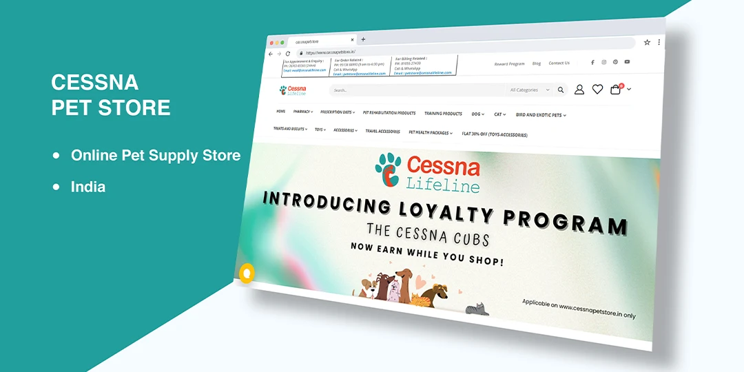 SEO Case Study – Cessna Pet Store