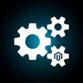 Magento Custom Extension Development Service